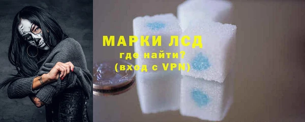 гашик Арсеньев