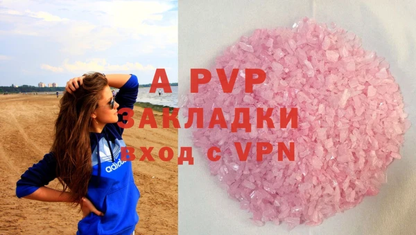 гашик Арсеньев