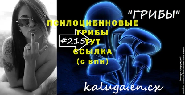 спиды Аркадак
